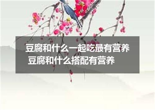 豆腐和什么一起吃最有营养 豆腐和什么搭配有营养