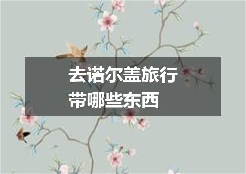 去诺尔盖旅行带哪些东西