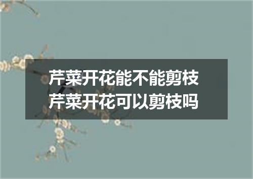 芹菜开花能不能剪枝 芹菜开花可以剪枝吗