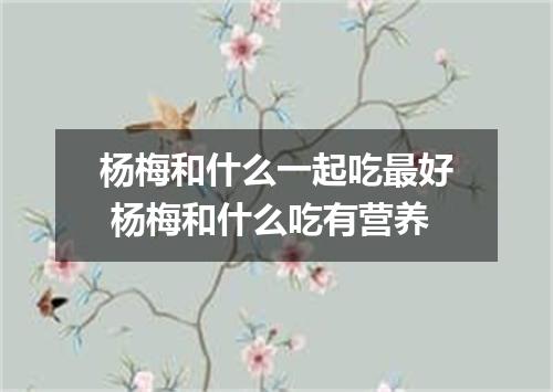 杨梅和什么一起吃最好 杨梅和什么吃有营养