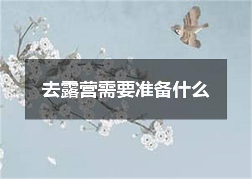 去露营需要准备什么