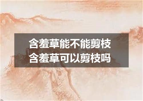 含羞草能不能剪枝 含羞草可以剪枝吗