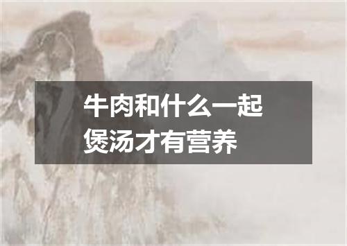 牛肉和什么一起煲汤才有营养