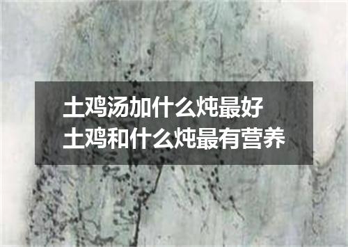 土鸡汤加什么炖最好 土鸡和什么炖最有营养
