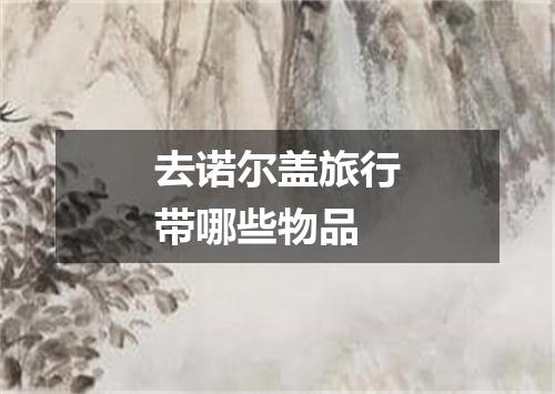 去诺尔盖旅行带哪些物品