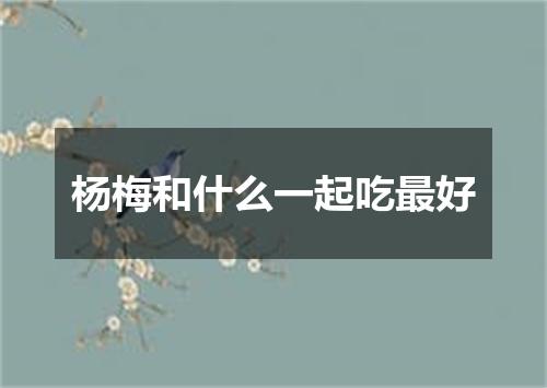 杨梅和什么一起吃最好