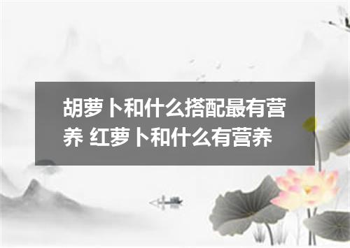 胡萝卜和什么搭配最有营养 红萝卜和什么有营养