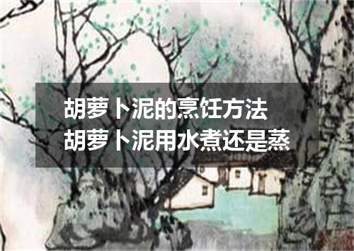 胡萝卜泥的烹饪方法 胡萝卜泥用水煮还是蒸