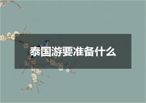 泰国游要准备什么