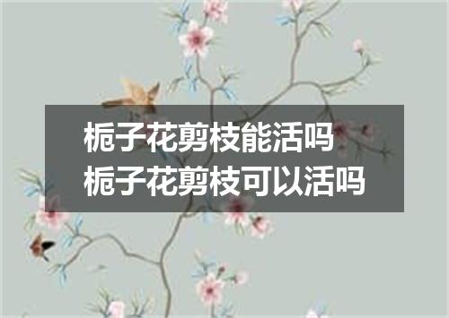 栀子花剪枝能活吗 栀子花剪枝可以活吗