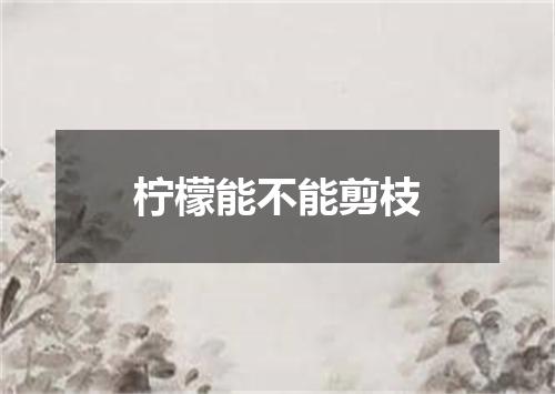 柠檬能不能剪枝