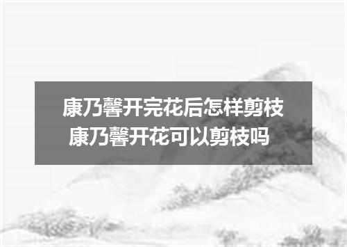 康乃馨开完花后怎样剪枝 康乃馨开花可以剪枝吗