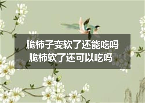 脆柿子变软了还能吃吗 脆柿软了还可以吃吗