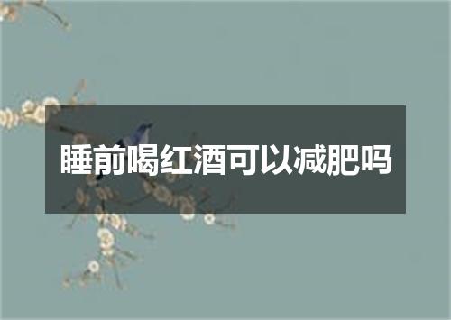 睡前喝红酒可以减肥吗
