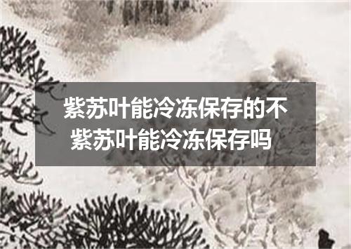 紫苏叶能冷冻保存的不 紫苏叶能冷冻保存吗