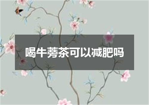 喝牛蒡茶可以减肥吗