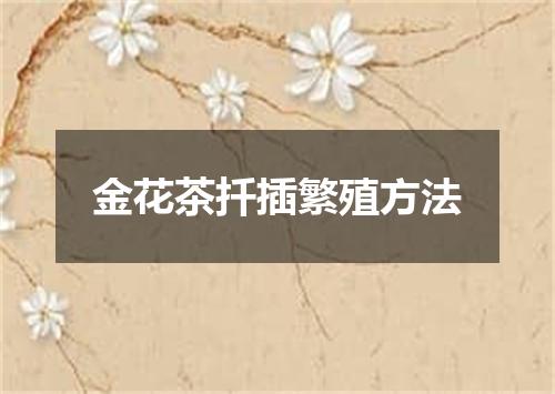 金花茶扦插繁殖方法