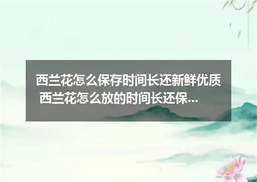 西兰花怎么保存时间长还新鲜优质 西兰花怎么放的时间长还保鲜