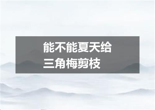 能不能夏天给三角梅剪枝