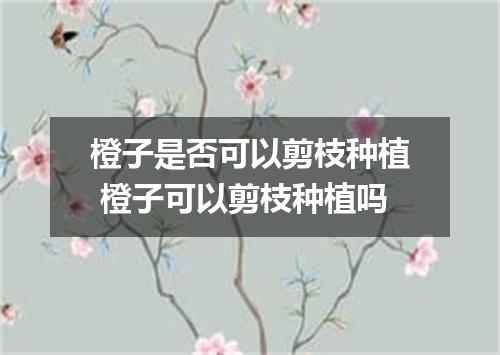 橙子是否可以剪枝种植 橙子可以剪枝种植吗