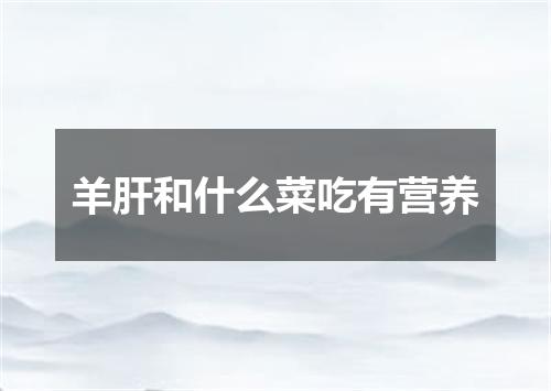 羊肝和什么菜吃有营养