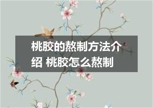 桃胶的熬制方法介绍 桃胶怎么熬制