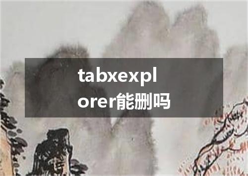 tabxexplorer能删吗
