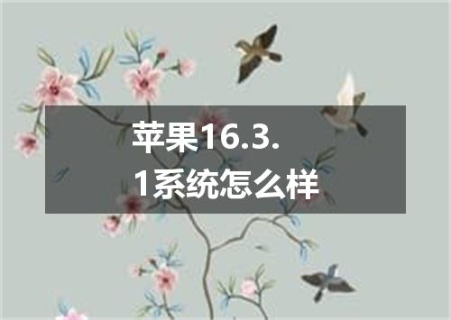 苹果16.3.1系统怎么样