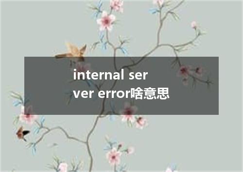 internal server error啥意思