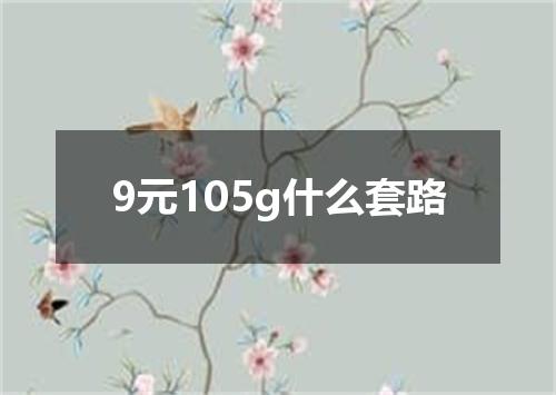 9元105g什么套路
