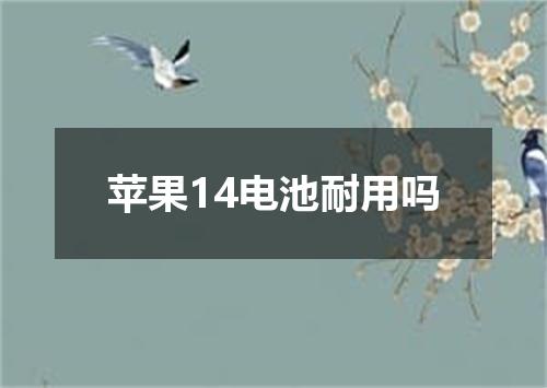 苹果14电池耐用吗