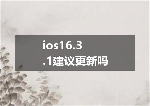 ios16.3.1建议更新吗