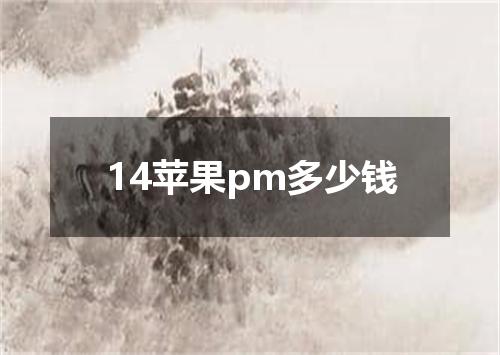 14苹果pm多少钱
