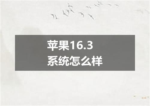 苹果16.3系统怎么样