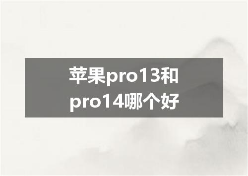 苹果pro13和pro14哪个好