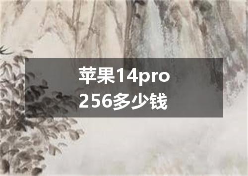 苹果14pro256多少钱