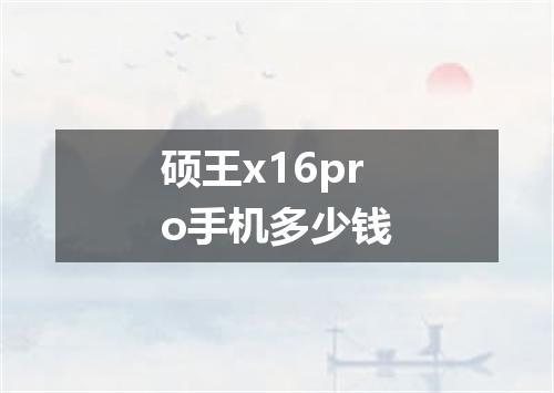 硕王x16pro手机多少钱