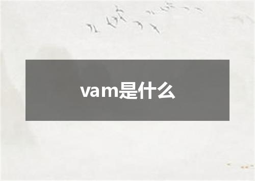 vam是什么