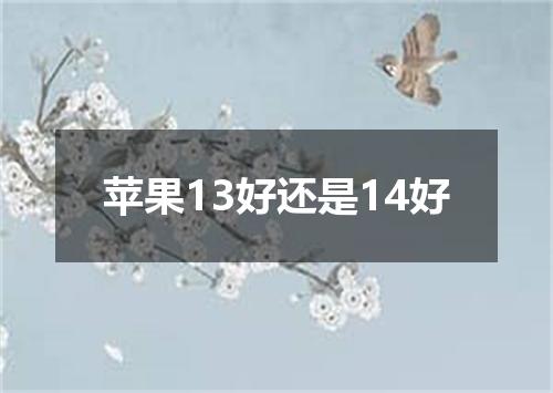 苹果13好还是14好