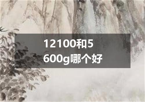 12100和5600g哪个好