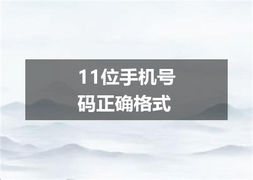 11位手机号码正确格式