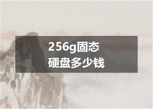256g固态硬盘多少钱