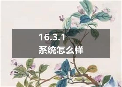 16.3.1系统怎么样