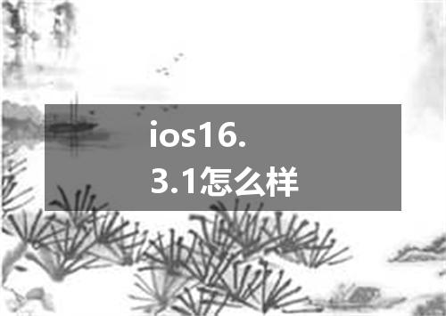 ios16.3.1怎么样