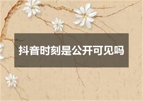 抖音时刻是公开可见吗