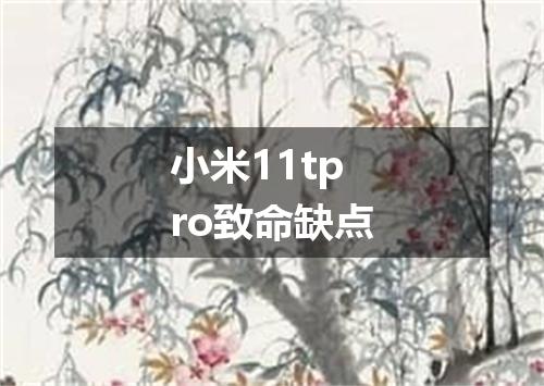 小米11tpro致命缺点