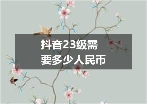 抖音23级需要多少人民币