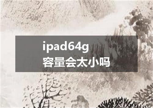 ipad64g容量会太小吗