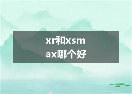 xr和xsmax哪个好