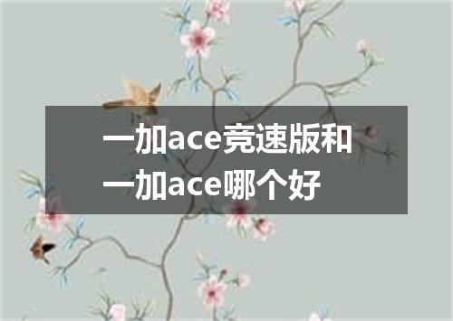 一加ace竞速版和一加ace哪个好
